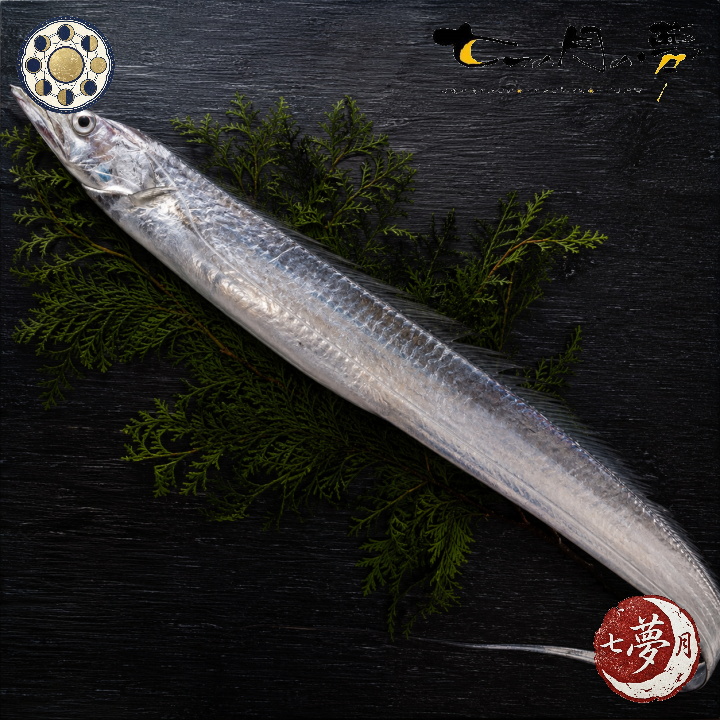 太刀魚を一尾まるごと斜めに配した写真。銀色の魚体が光を受けて青白く輝き、落ち着いた和の雰囲気を演出しています。